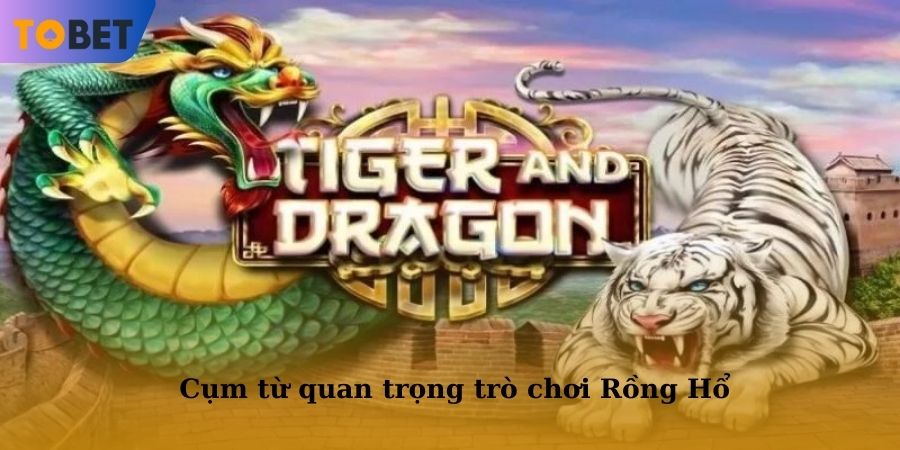 Anh em cần hiểu rõ cụm từ quan trọng trước khi tham gia vào trò chơi Rồng Hổ