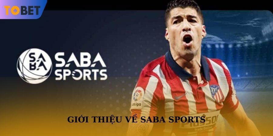 Đôi nét về sảnh Saba Sports tại TOBET88